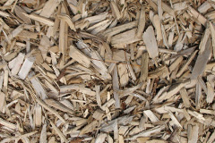 biomass boilers Prestolee